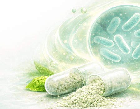 SlimLeaf  Ingredient1